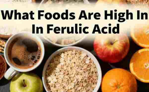 What Foods Are High In Ferulic Acid What Foods Are High In Ferulic Acid