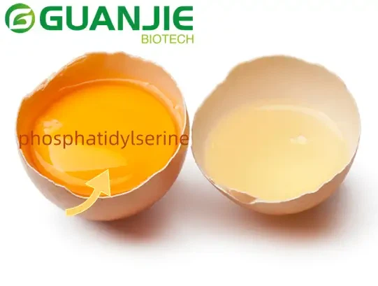 Is There Phosphatidylserine In Eggs Is There Phosphatidylserine In Eggs