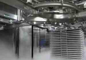 freeze-dried kiwi powder freeze-dried kiwi powder