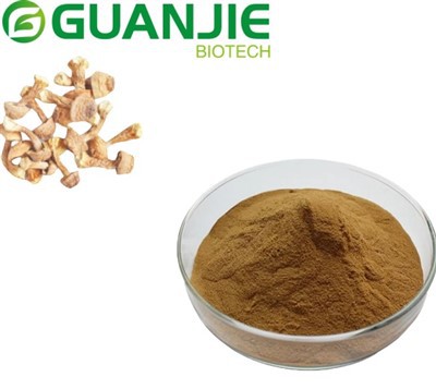 Agaricus subrufescens استخراج مسحوق